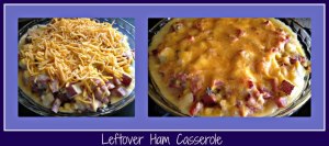 534062_10151607459672953_1949038580_n