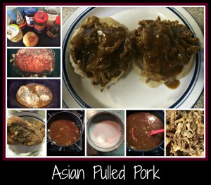 AsianPulledPork CP