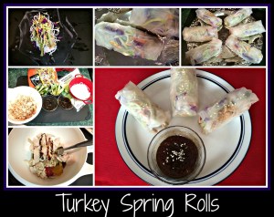 TurkeySpringRolls